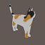 Low Poly Cat