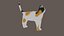 Low Poly Cat