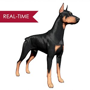 Doberman 3d 2025