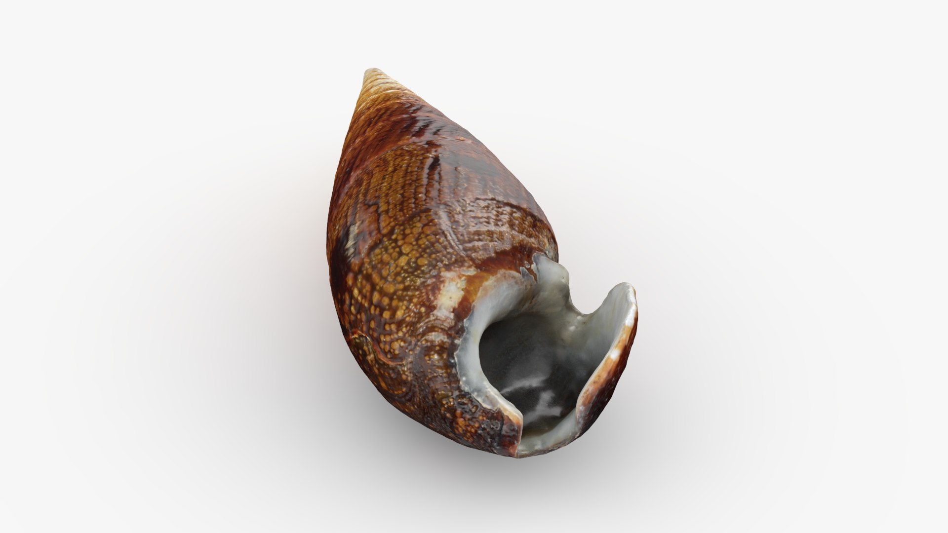Faunus Ater 3D model https://p.turbosquid.com/ts-thumb/oD/AzEl6g/15/faunusater_b0016/jpg/1740574395/1920x1080/fit_q87/a98499771892b82abca957d6e828ca9b7f1c08da/faunusater_b0016.jpg