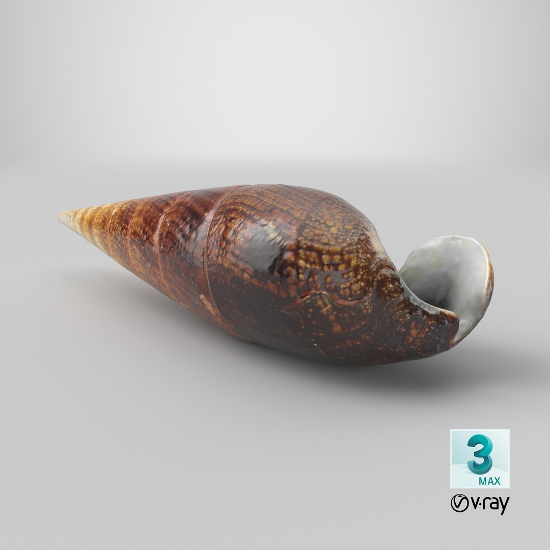 Faunus Ater 3D model https://p.turbosquid.com/ts-thumb/oD/AzEl6g/3r/stemcell_max_vray_render/png/1741011558/1920x1080/fit_q87/9ee60762a2691a5bbe4963c03b4d50a624c1b107/stemcell_max_vray_render.jpg
