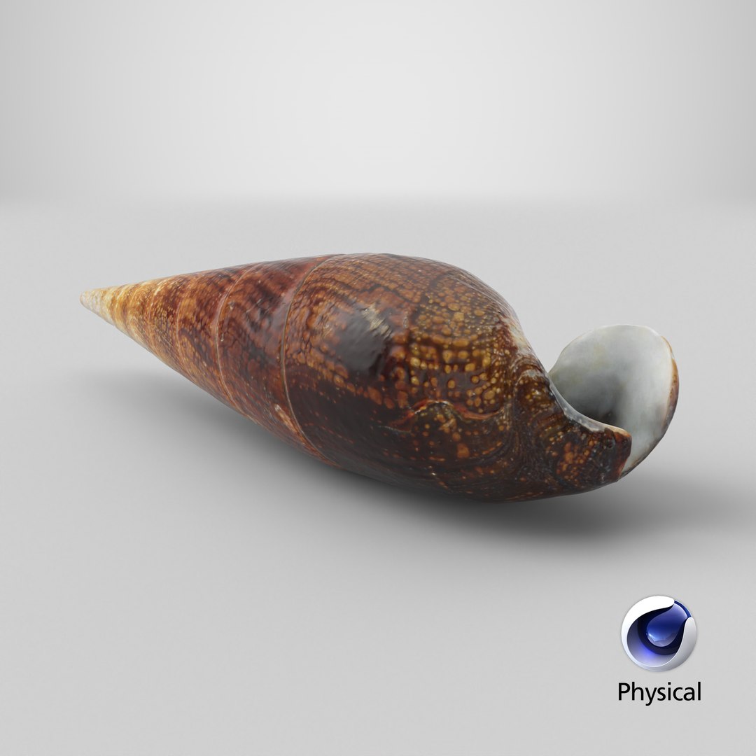 Faunus Ater 3D model https://p.turbosquid.com/ts-thumb/oD/AzEl6g/5W/stemcell_cinema_4d_physical_render/png/1741011556/1920x1080/fit_q87/70bbebe1c109c0e4abc9c0a8ef79239abbdb510c/stemcell_cinema_4d_physical_render.jpg
