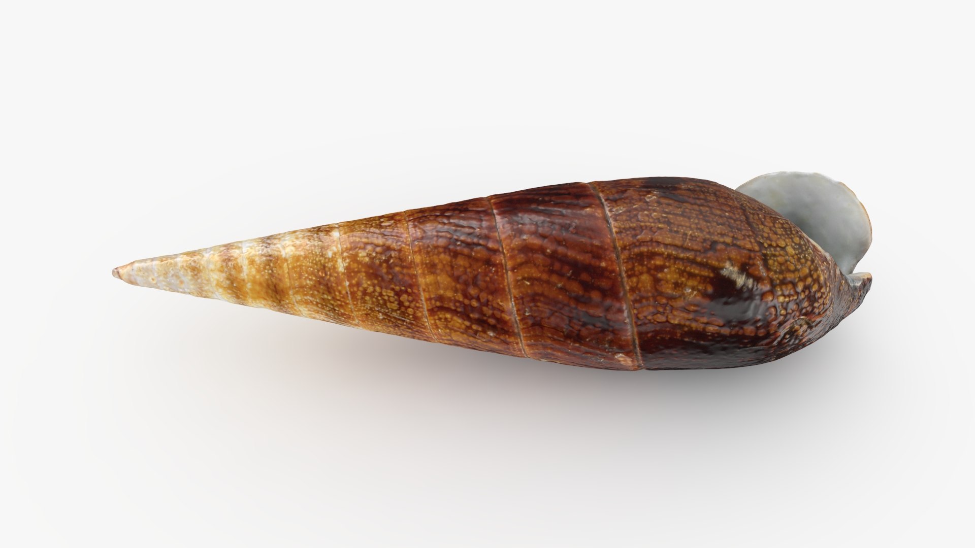 Faunus Ater 3D model https://p.turbosquid.com/ts-thumb/oD/AzEl6g/6a/faunusater_b0000/jpg/1740574392/1920x1080/fit_q87/258719df0318850286cc8aeb83f33a8c9feb2cc3/faunusater_b0000.jpg