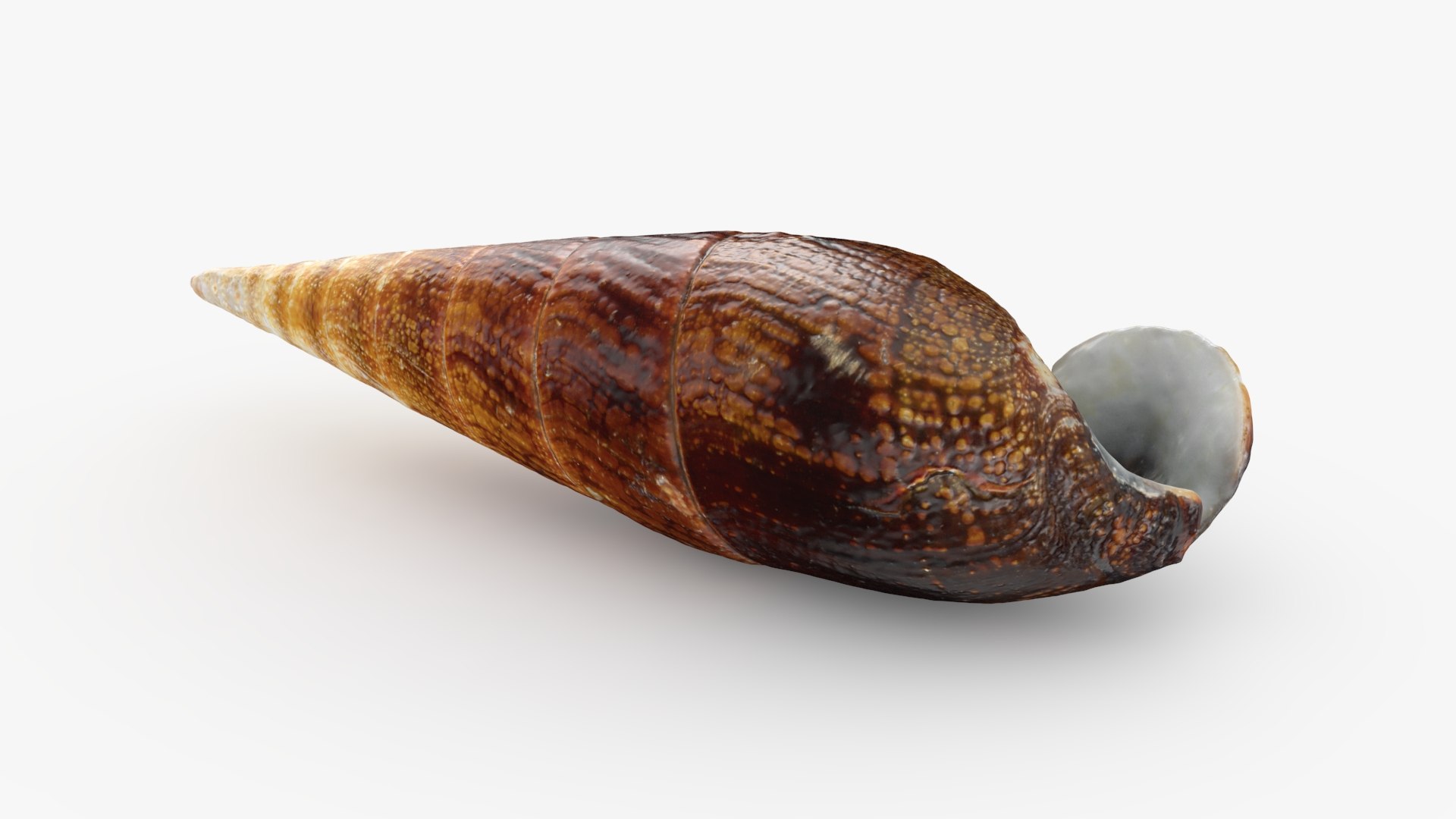 Faunus Ater 3D model https://p.turbosquid.com/ts-thumb/oD/AzEl6g/Pp/faunusater_b0006/jpg/1740574393/1920x1080/fit_q87/503f95e1ebbebe15be5fa97bd824801d64d5ac36/faunusater_b0006.jpg