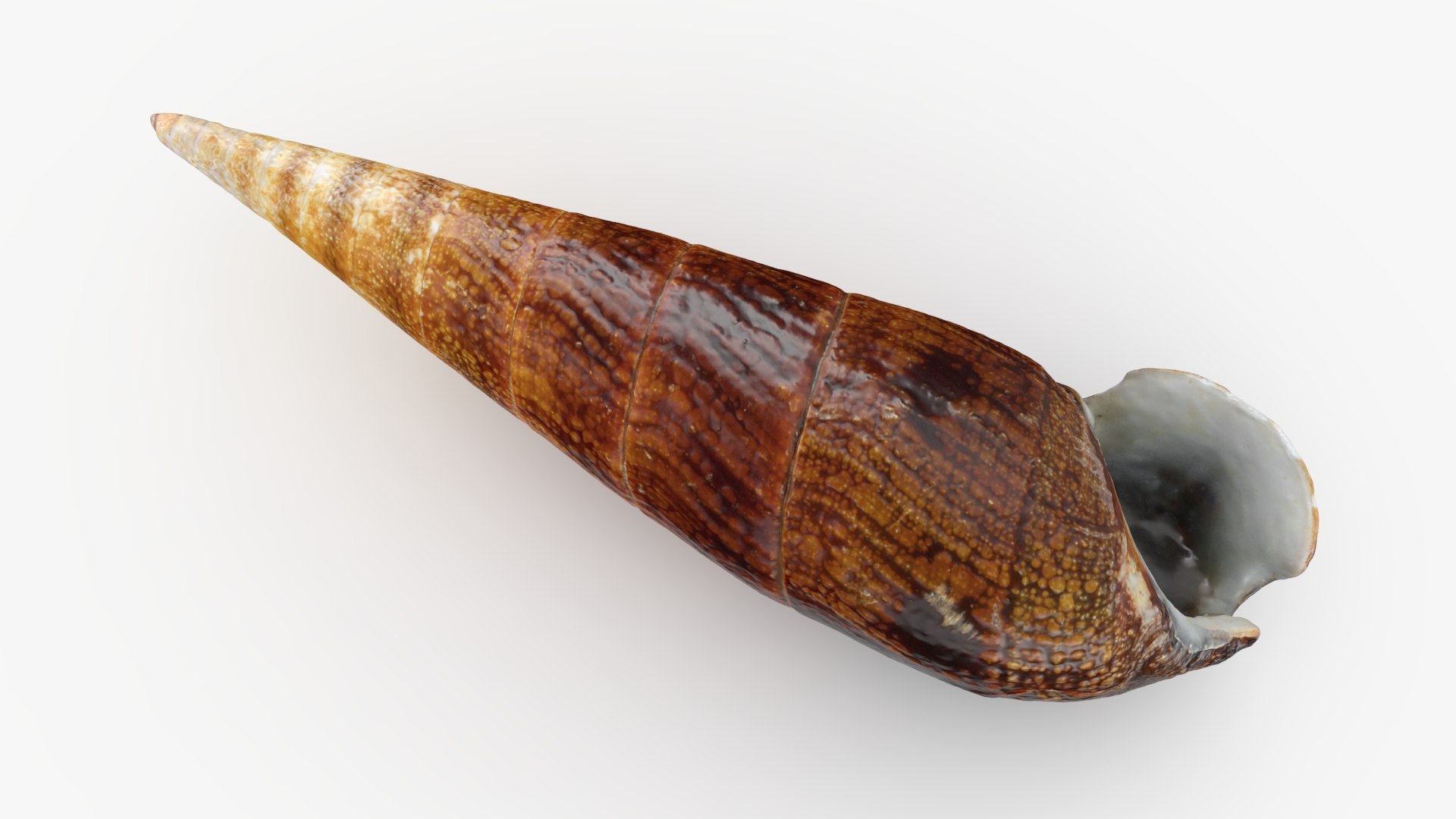 Faunus Ater 3D model https://p.turbosquid.com/ts-thumb/oD/AzEl6g/QS/faunusater_b0012/jpg/1740574394/1920x1080/fit_q87/5d0dc1dcb27a00f5b9ec2a880c3599e1f53c759b/faunusater_b0012.jpg