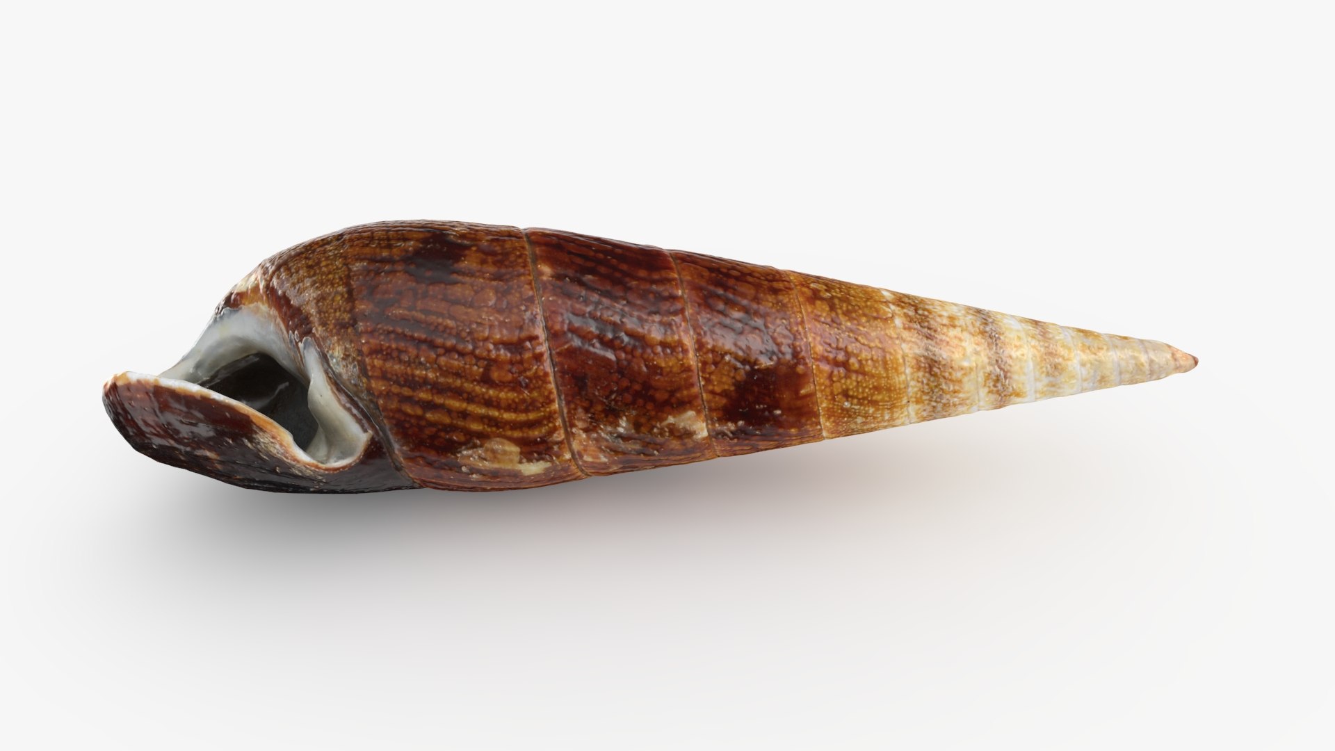Faunus Ater 3D model https://p.turbosquid.com/ts-thumb/oD/AzEl6g/X9/faunusater_b0008/jpg/1740574393/1920x1080/fit_q87/ecfeb860b7216993d541c0f40307252ed7b41d6a/faunusater_b0008.jpg