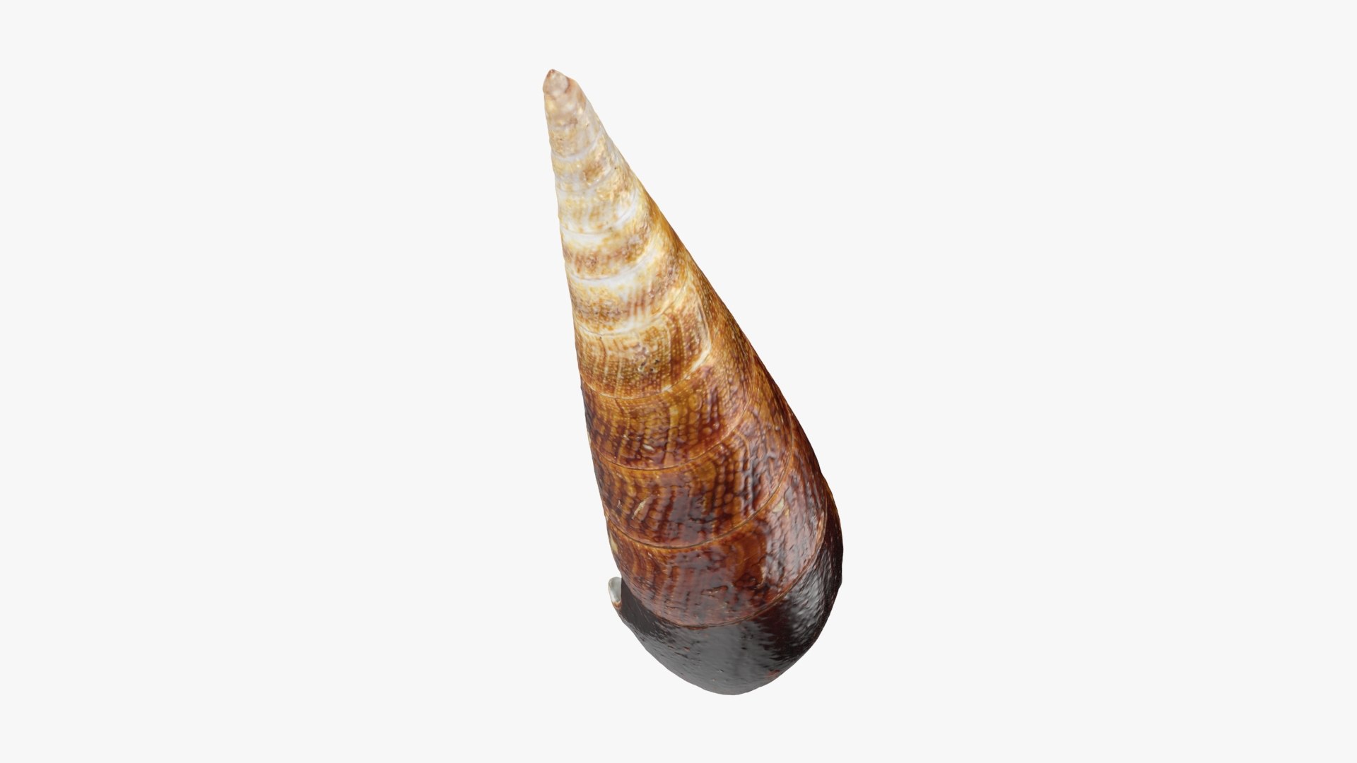 Faunus Ater 3D model https://p.turbosquid.com/ts-thumb/oD/AzEl6g/fc/faunusater_b0020/jpg/1740574396/1920x1080/fit_q87/04c1b8297e312e669572c2d2f2d7fea166fe7740/faunusater_b0020.jpg