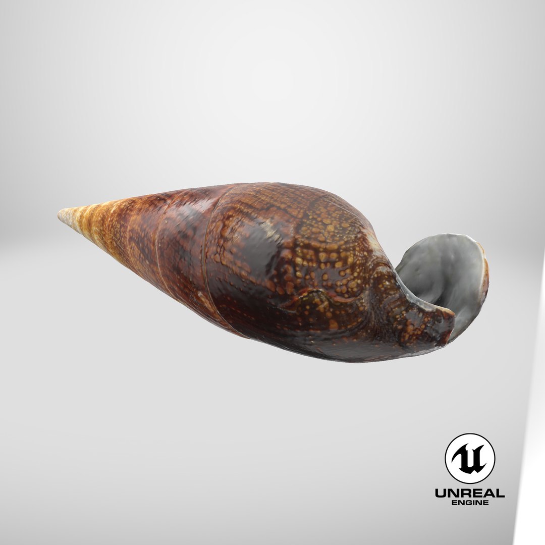 Faunus Ater 3D model https://p.turbosquid.com/ts-thumb/oD/AzEl6g/gr/stemcell_unreal_render/png/1741011561/1920x1080/fit_q87/9c7d1730fe2200d35c180a1f40d3ab6f2444b5eb/stemcell_unreal_render.jpg