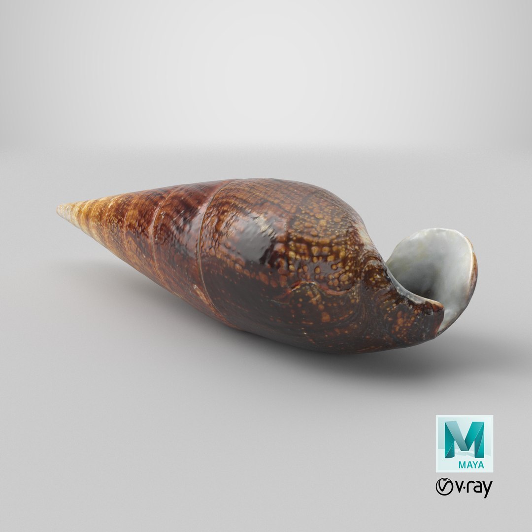 Faunus Ater 3D model https://p.turbosquid.com/ts-thumb/oD/AzEl6g/jn/stemcell_maya_vray_render/png/1741011553/1920x1080/fit_q87/04b173ae9821282e5b81f803e19b4e1b58b96250/stemcell_maya_vray_render.jpg