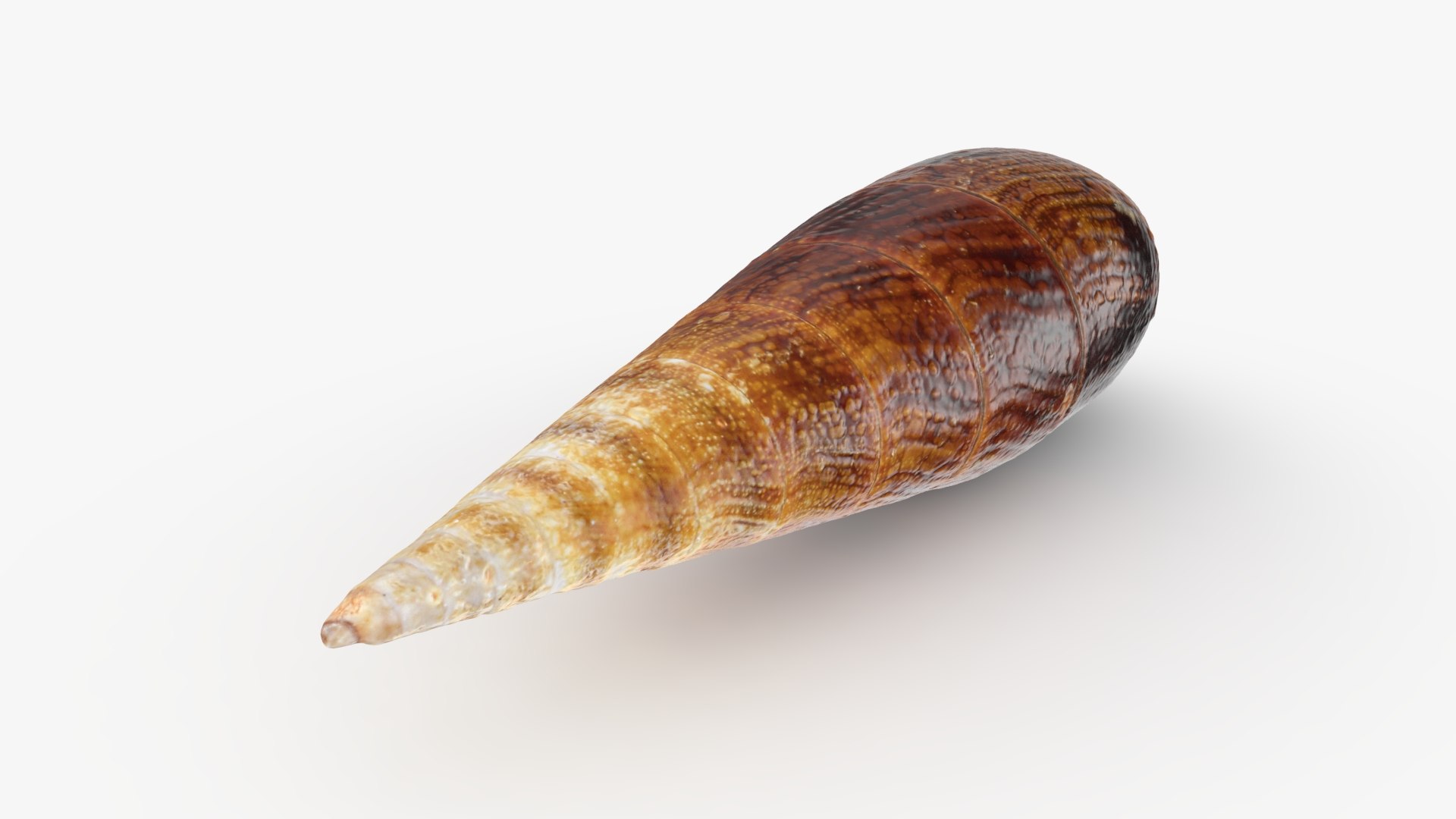 Faunus Ater 3D model https://p.turbosquid.com/ts-thumb/oD/AzEl6g/nf/faunusater_b0010/jpg/1740574394/1920x1080/fit_q87/a5756ffde8ce3ac81c5ba899b52329b283fe8293/faunusater_b0010.jpg