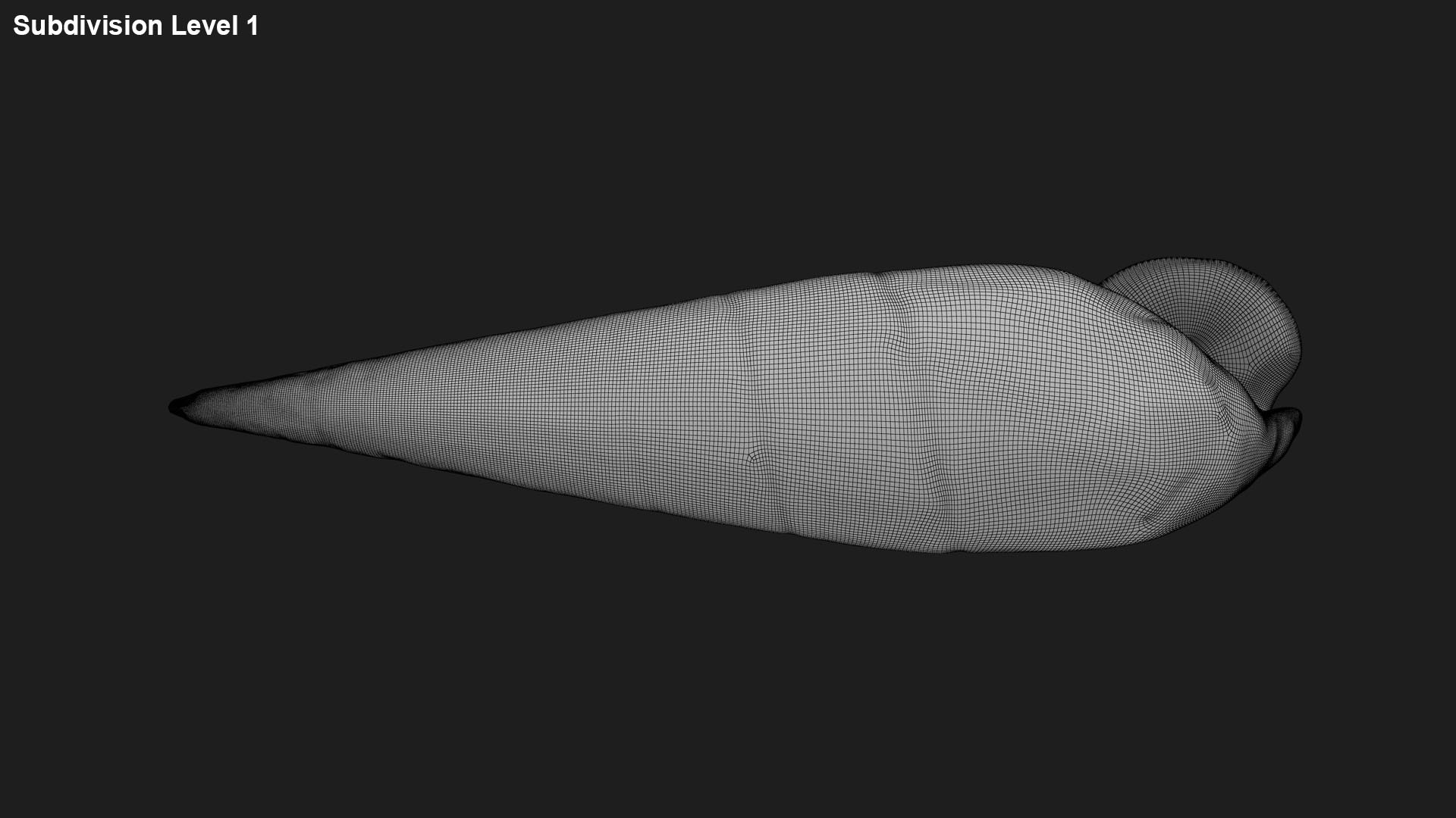 Faunus Ater 3D model https://p.turbosquid.com/ts-thumb/oD/AzEl6g/tQ/faunusater_g0002/jpg/1740574400/1920x1080/fit_q87/45006cda40acfc1651a8c806b046866278c02055/faunusater_g0002.jpg