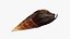 Fauno Ater