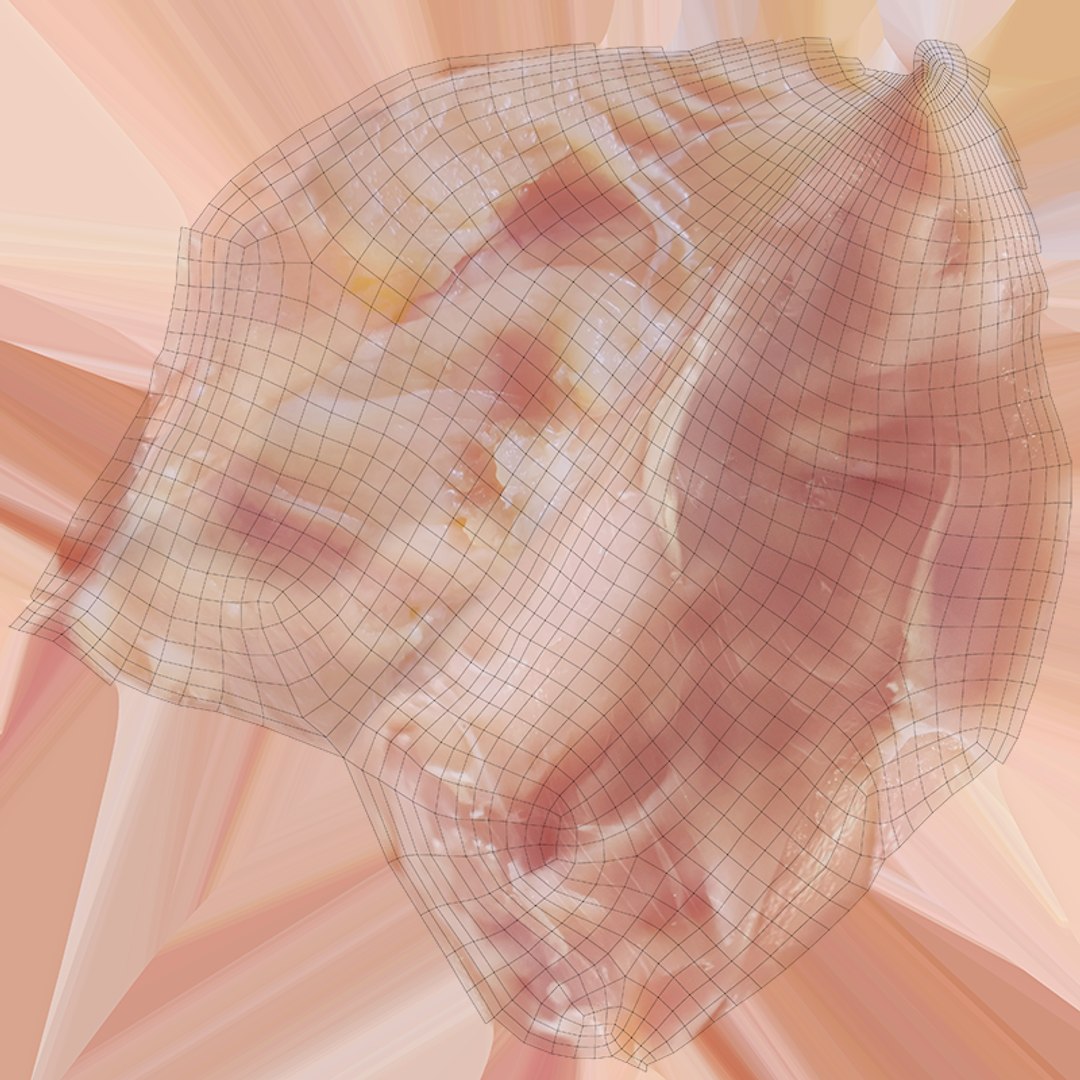 Fresh Chicken Breast 02 - Real-Time 3D model https://p.turbosquid.com/ts-thumb/oD/He90PX/Qu/chickenbreastfr02_c0004/png/1756971963/1920x1080/fit_q87/03069405bdda3114c30ef1f078c41db441197be4/chickenbreastfr02_c0004.jpg