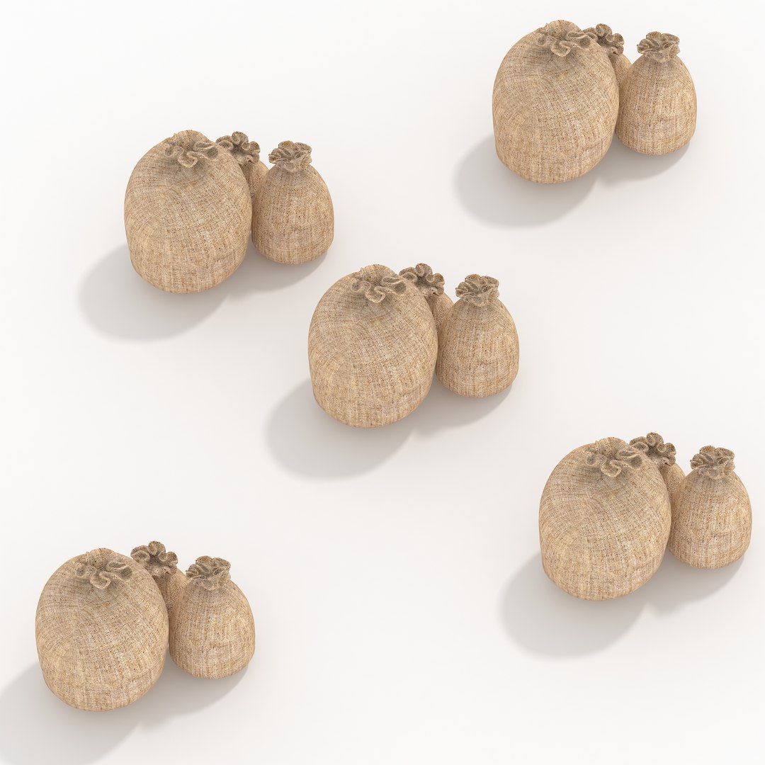 money sacks max free https://p.turbosquid.com/ts-thumb/oD/Ms282U/qftyPdv7/view_b/jpg/1440490012/1920x1080/fit_q87/4ffd43bab3e99d27779fd6d9cfbf8d883bb35914/view_b.jpg