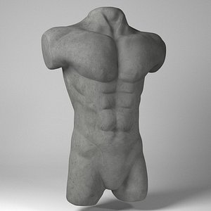 Torso Bust