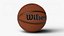 Basket-ball WILSON