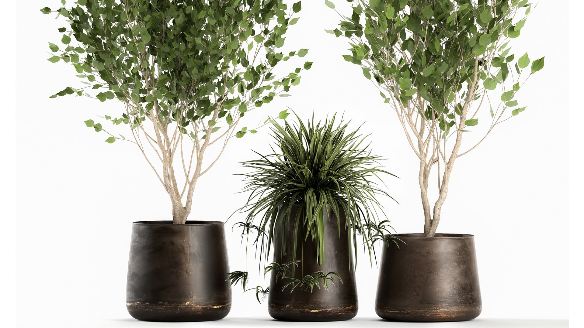 3D Trees in a rust pot for the interior 1046 - TurboSquid 1787127