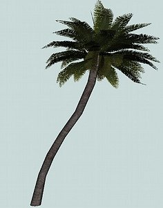 Palm3