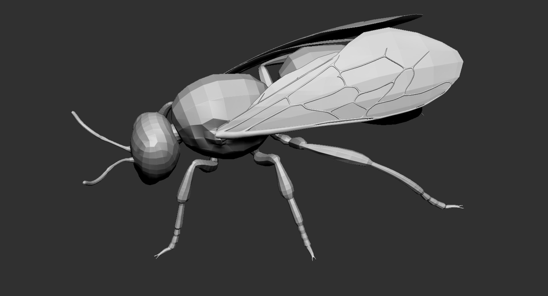 3D Honey Bee Insect Animal Creature - TurboSquid 1431435