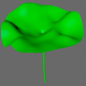 3d x leaf