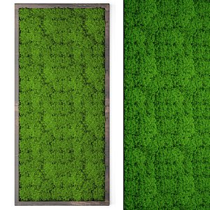vertical stabilized moss 3D model