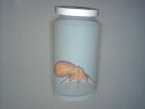 3d jar specimen 592 model