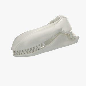 killer orca skull 3D