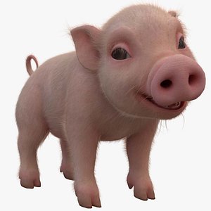 Pig Piglet FUR Facial Blend Shapes