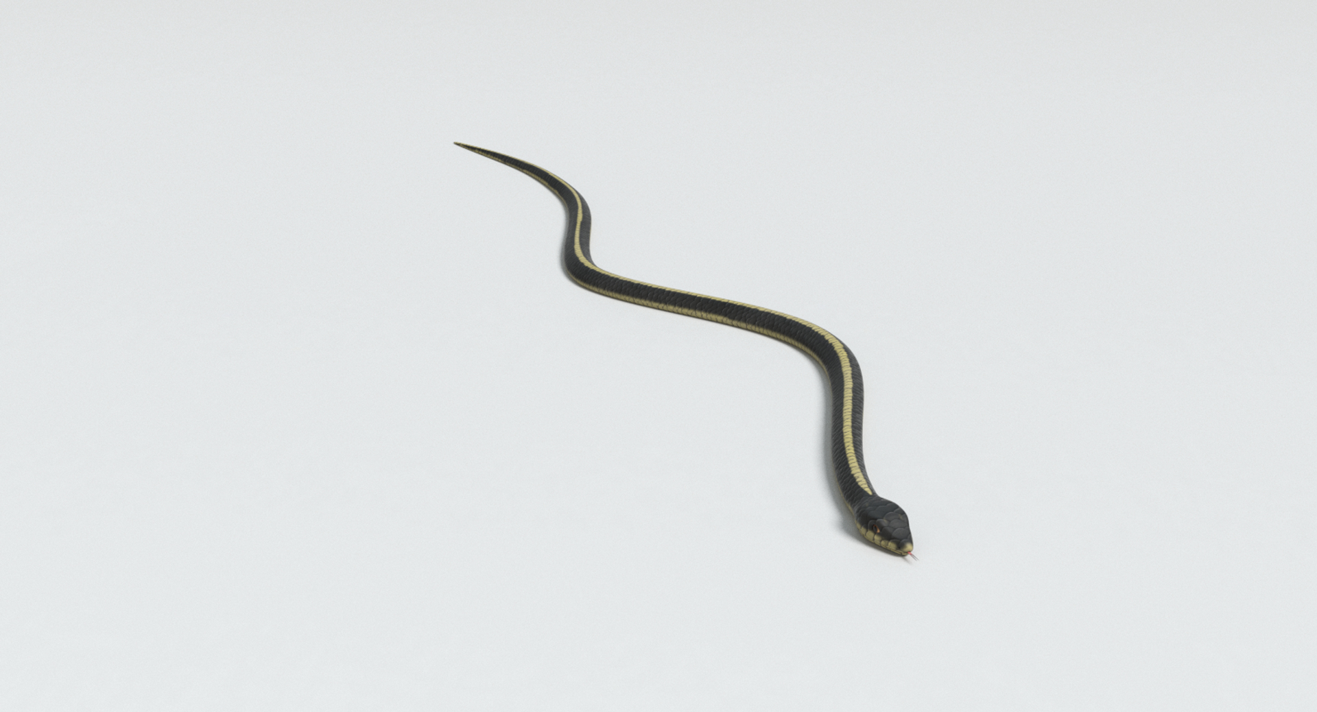 Garter Snake 3D Model - TurboSquid 1176042