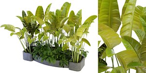 Collection plant vol 301 - blender model 3D