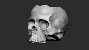 3D Skull pot