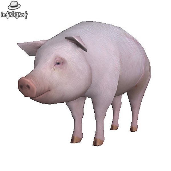 3d edge loop model