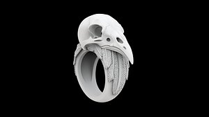Raven Skull Ring Jewelry 3D Print Model model