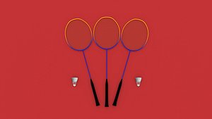 Badminton Court Racket and shuttlecock