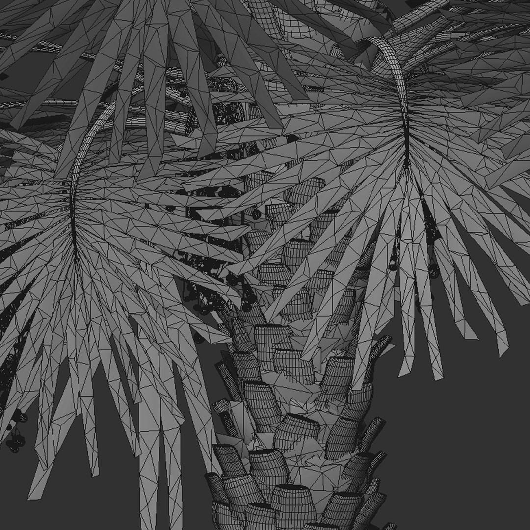 Set Of Copernicia Palm Or Carnaubeira Tree -2 Trees 3D Model ...