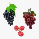 Colección de uvas