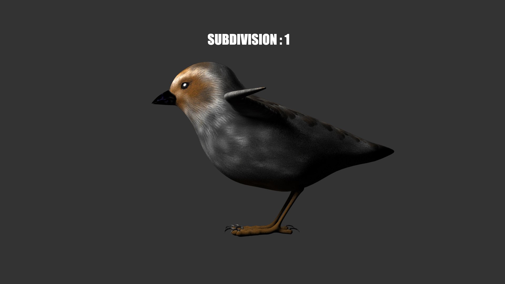 BIRD 3D Model - TurboSquid 1994909