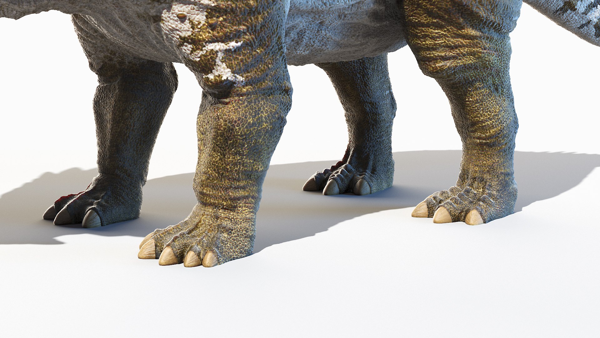 Regaliceratops Animated 3D model https://p.turbosquid.com/ts-thumb/oF/YbrLXO/0U/regaliceratops0005/jpg/1620312046/1920x1080/fit_q87/49599786ded83caa4b6ce055fa3fd2c548264112/regaliceratops0005.jpg