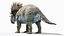 Regaliceratops Animato