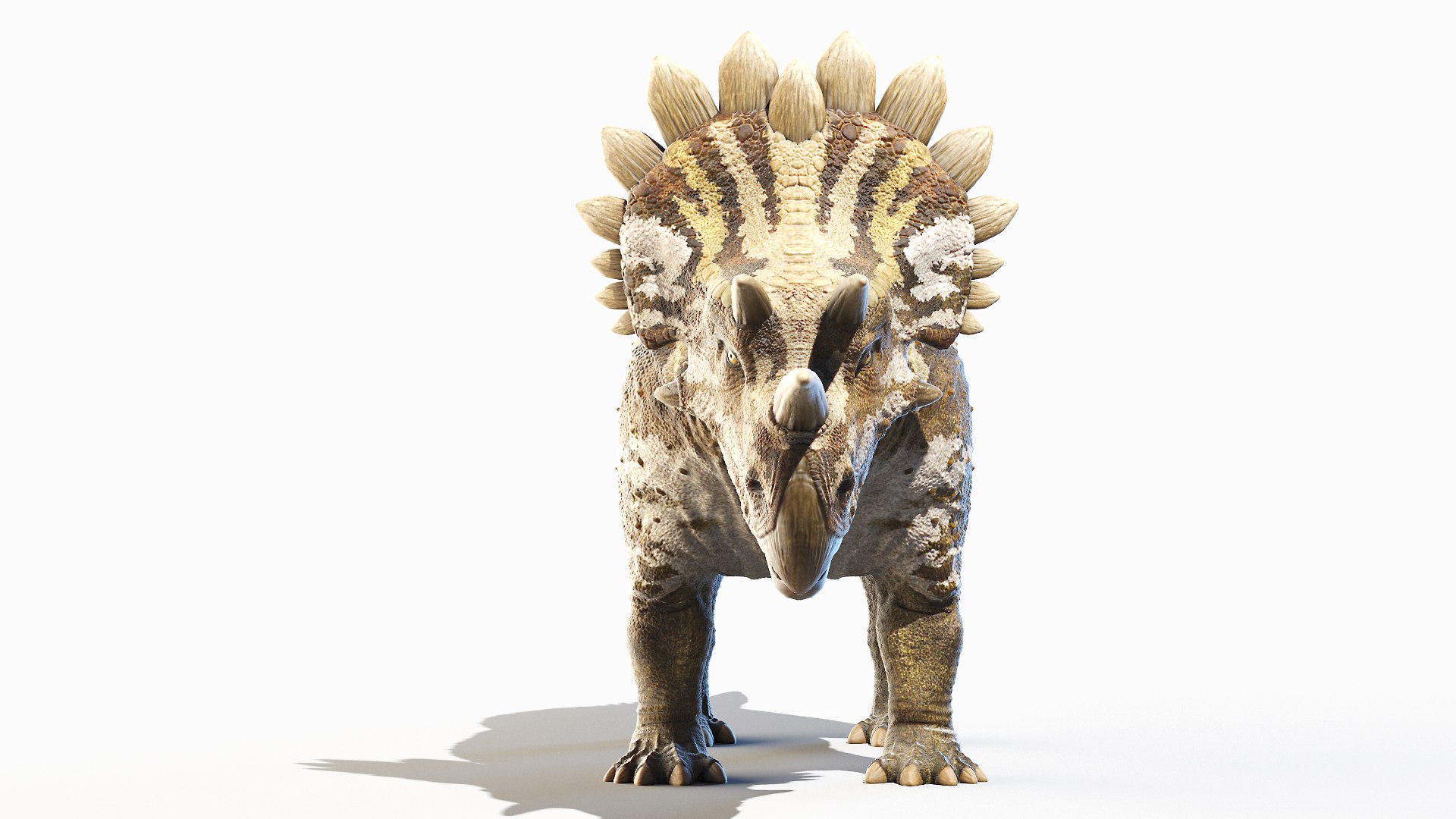 Regaliceratops Animated 3D model https://p.turbosquid.com/ts-thumb/oF/YbrLXO/Aa/regaliceratops0006/jpg/1620312046/1920x1080/fit_q87/3f19e226bc4572a21726e7053af28c71c8a5a784/regaliceratops0006.jpg