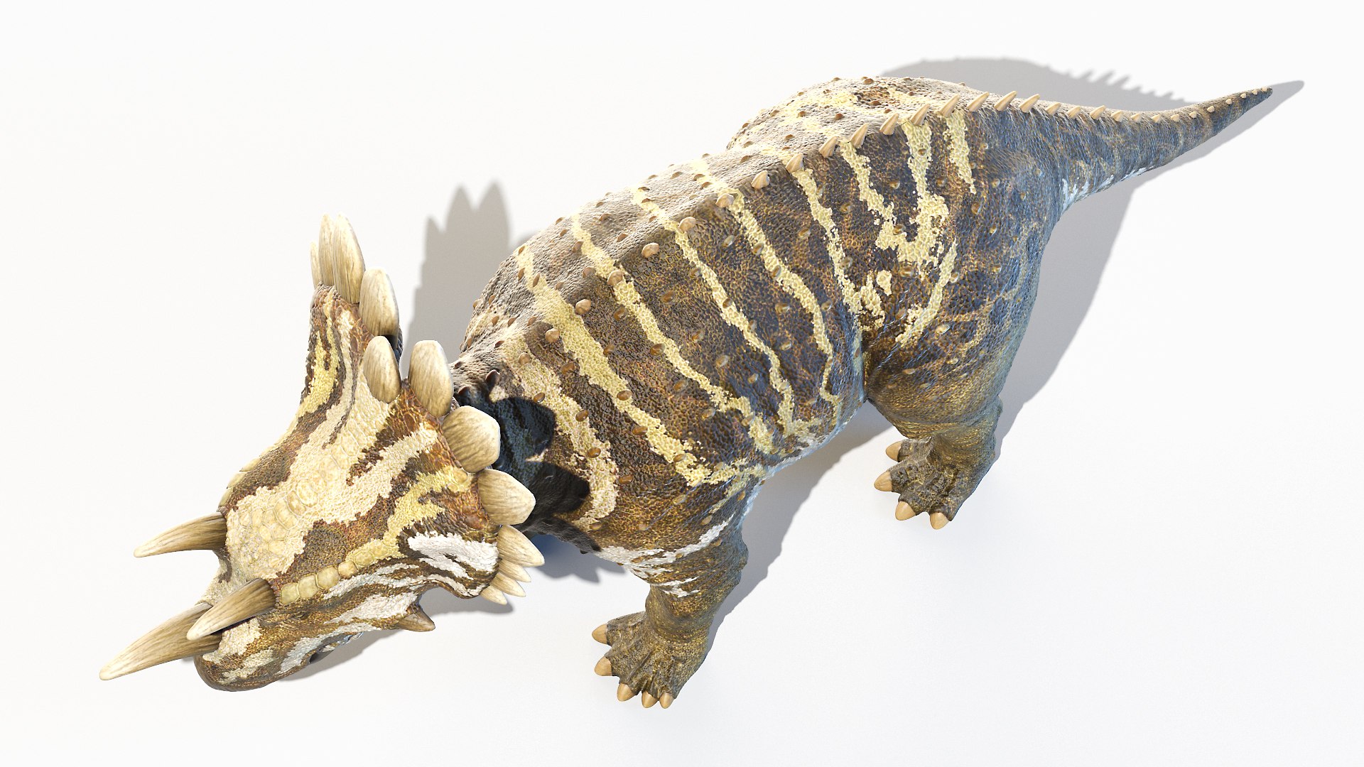 Regaliceratops Animated 3D model https://p.turbosquid.com/ts-thumb/oF/YbrLXO/xz/regaliceratops0003/jpg/1620312046/1920x1080/fit_q87/167b9ddb744af4af295bad26c580a824aa9210b8/regaliceratops0003.jpg