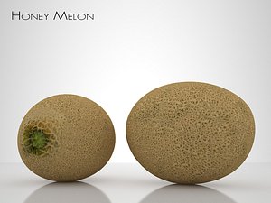 3d honey melon model
