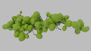 Grapes 3D model