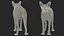 Cream Sphynx Cat Rigged para Modo