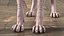 Cream Sphynx Cat Rigged para Modo