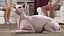Cream Sphynx Cat Rigged para Modo