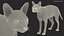 Cream Sphynx Cat Rigged para Modo