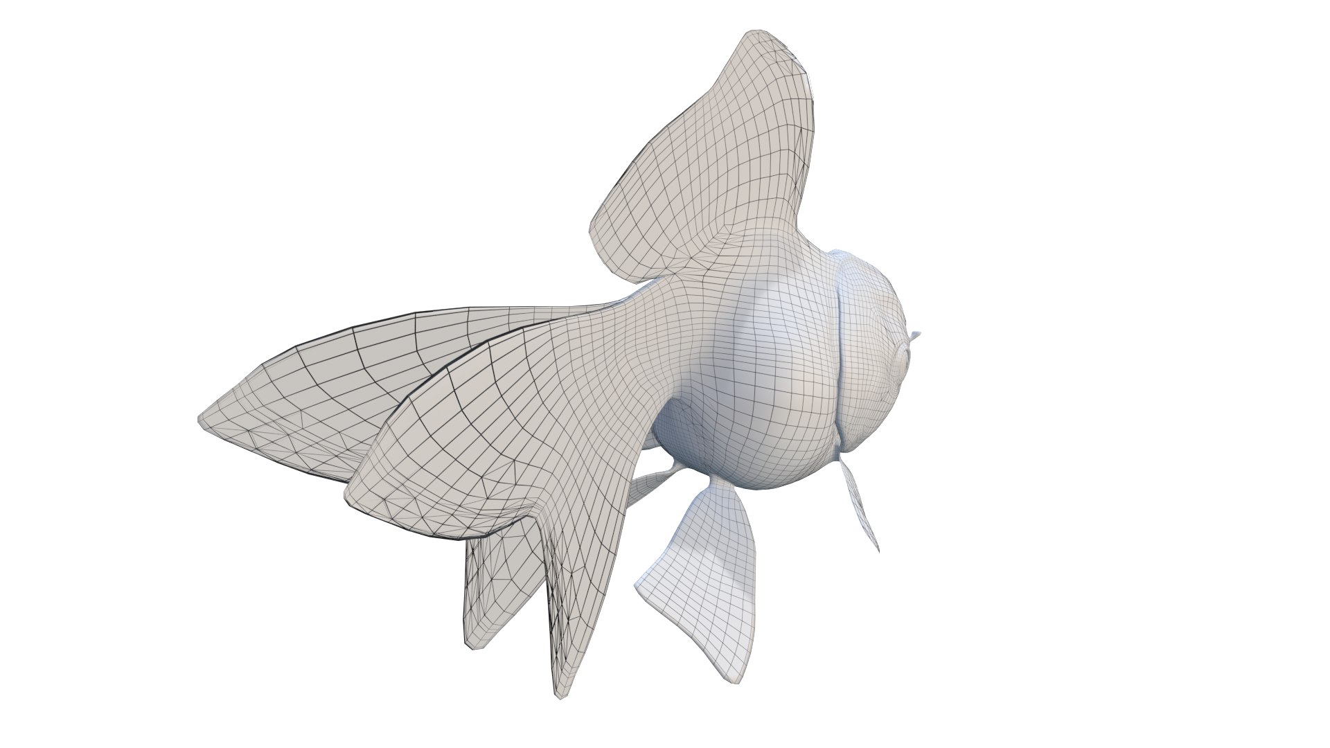 Oranda Breed 3D Model Model - TurboSquid 2313595