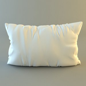 max pillow throw