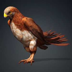 Kestrel-B1 3D model